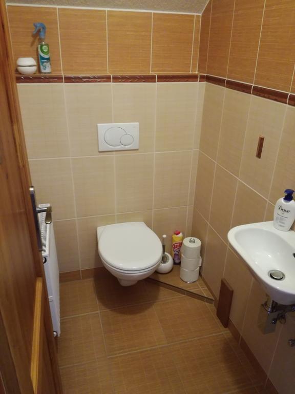 Apartman U Kovaru كاسبيرسكي هوري المظهر الخارجي الصورة